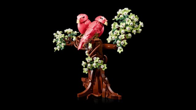 Love Birds - Image 10