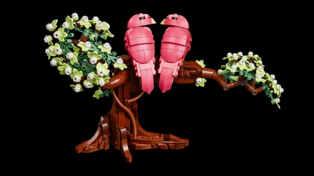 Love Birds - Image 13