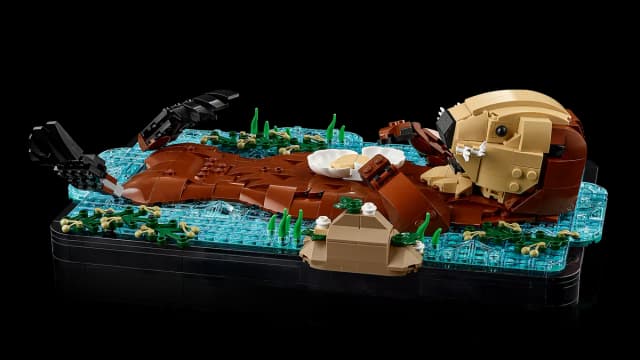 Floating Sea Otters - Image 7