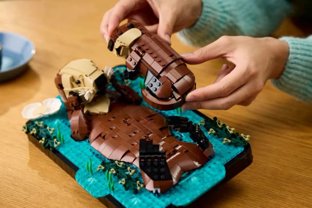 Floating Sea Otters - Image 5