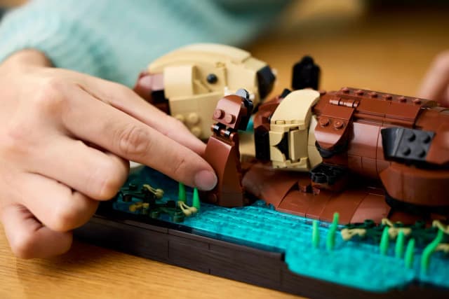 Floating Sea Otters - Image 6