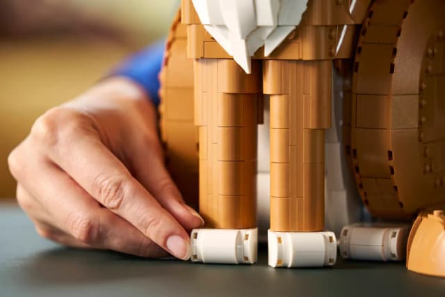 Orange Cat - Image 6