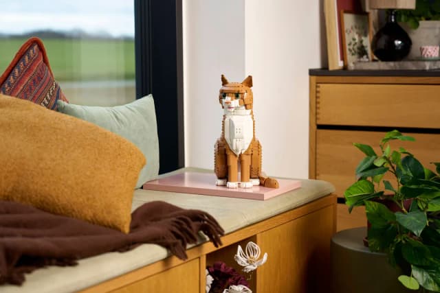 Orange Cat - Image 13