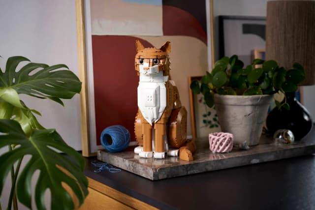 Orange Cat - Image 7