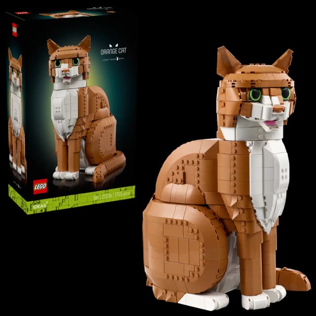 Orange Cat - Image 15