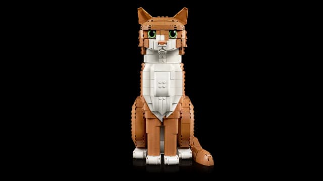 Orange Cat - Image 11