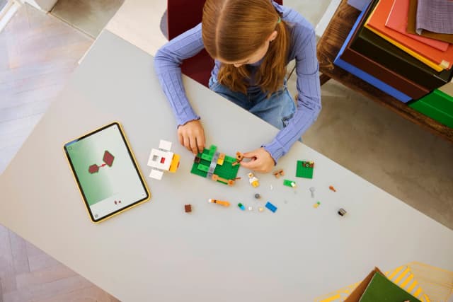 Chicken Farm - Image 8