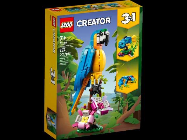 Exotic Parrot - Image 6
