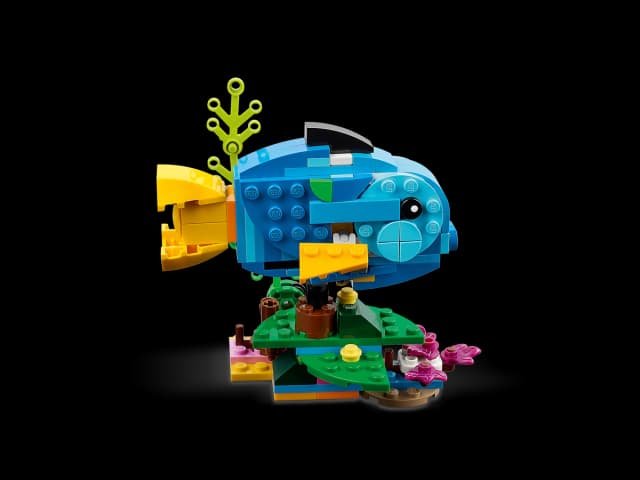 Exotic Parrot - Image 7