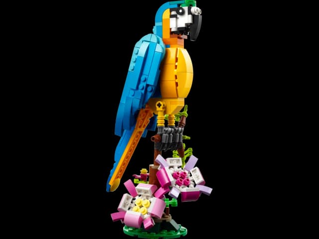 Exotic Parrot - Image 1