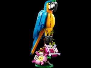 Exotic Parrot
