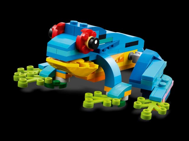 Exotic Parrot - Image 10