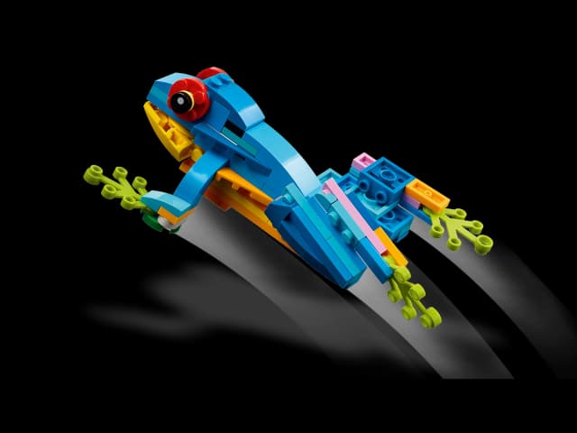 Exotic Parrot - Image 5