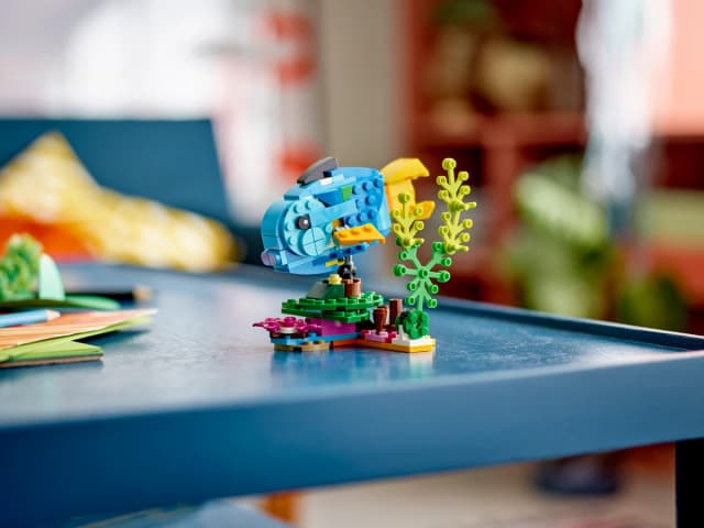 Exotic Parrot - Image 11