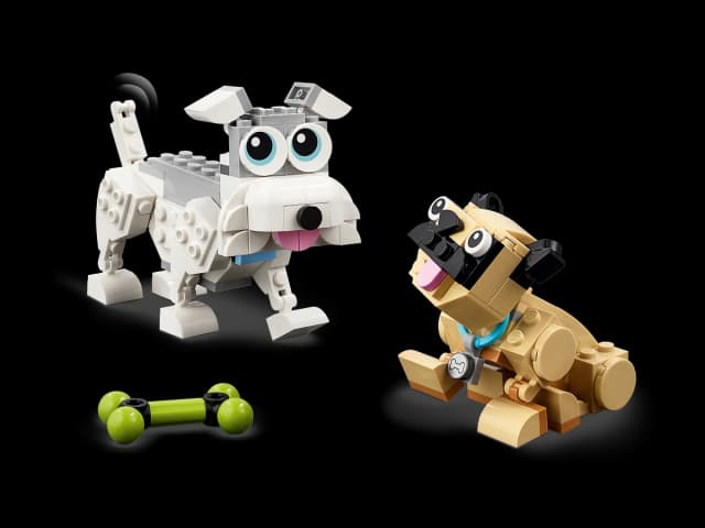 Adorable Dogs - Image 9
