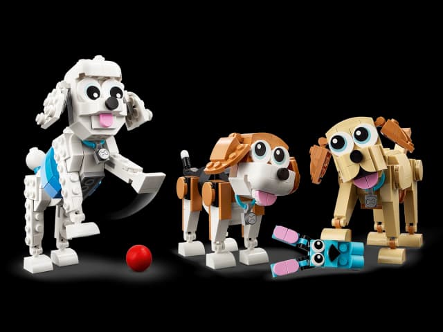 Adorable Dogs - Image 3