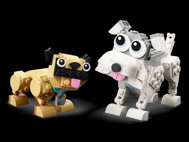 Adorable Dogs - Image 5