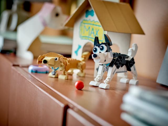 Adorable Dogs - Image 7