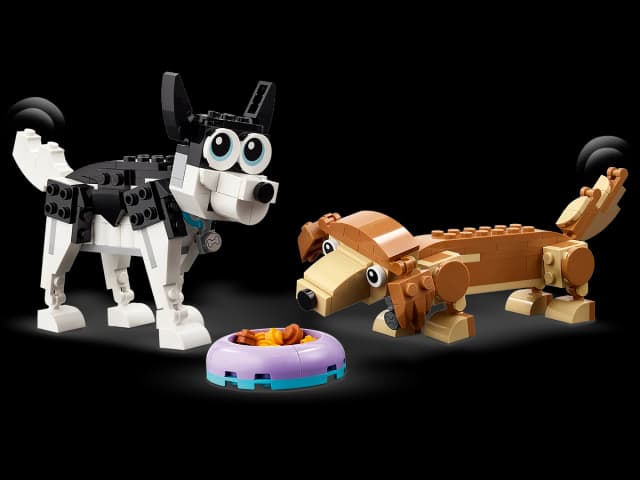 Adorable Dogs - Image 4