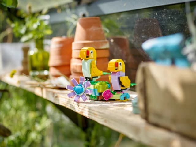 Flowers in Watering Can - Image 11