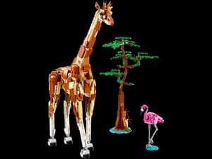 Wild Safari Animals