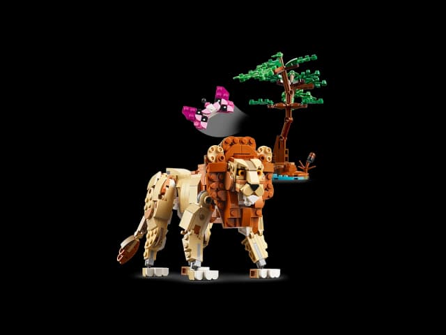 Wild Safari Animals - Image 10