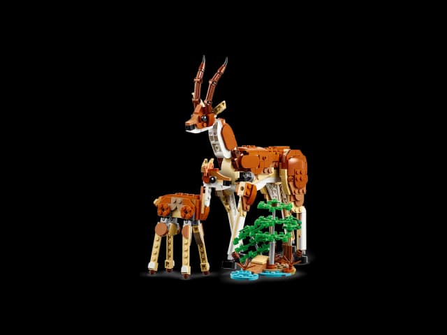 Wild Safari Animals - Image 7