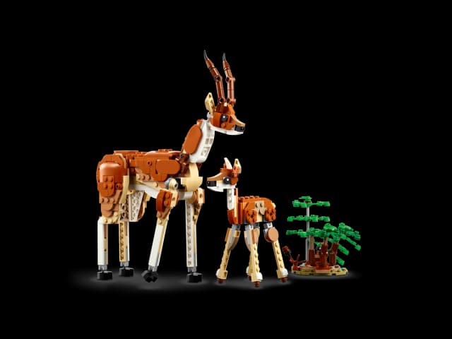 Wild Safari Animals - Image 3