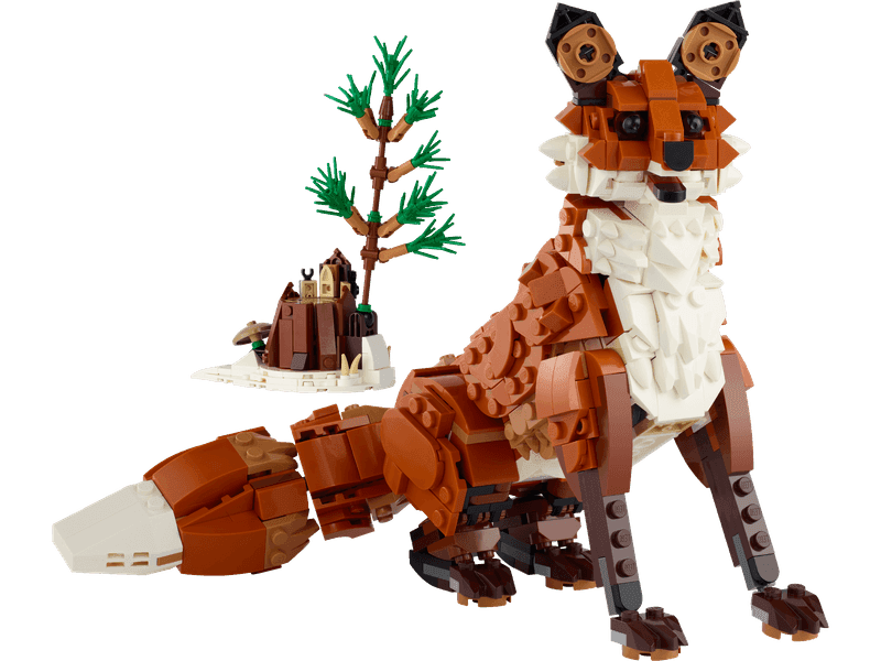 Forest Animals: Red Fox