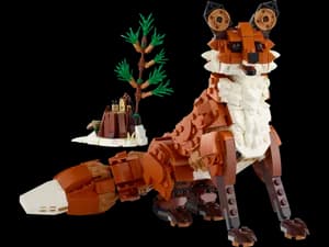 Forest Animals: Red Fox