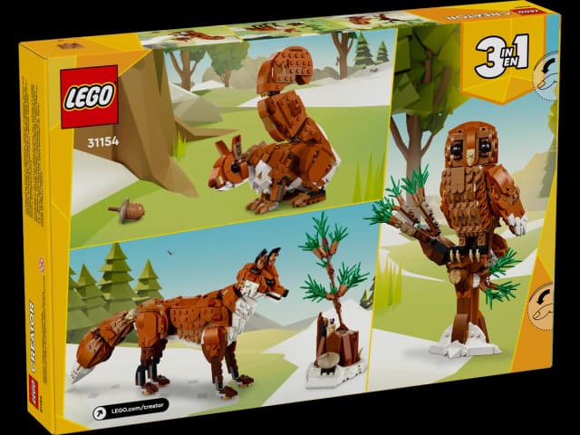 Forest Animals: Red Fox - Image 3