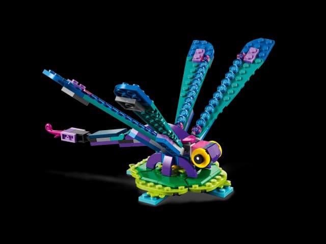 Exotic Peacock - Image 8