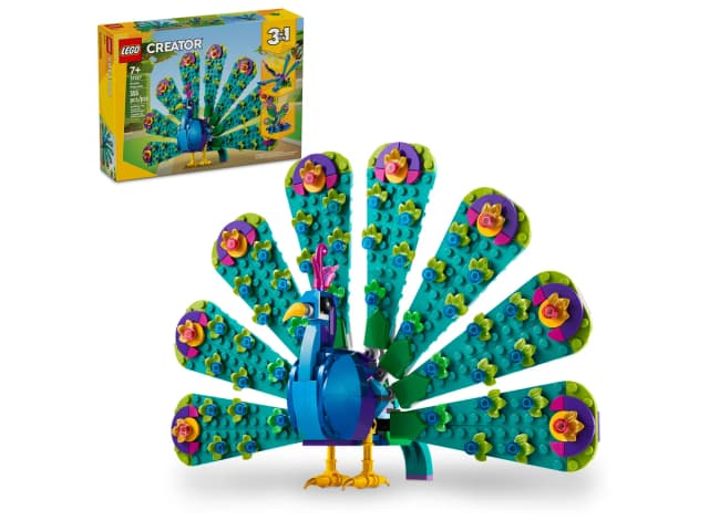 Exotic Peacock - Image 1