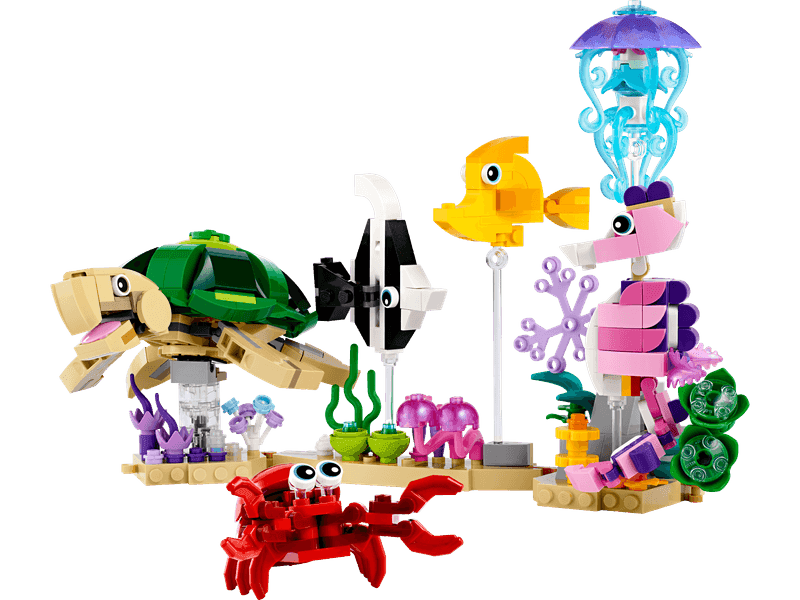 Sea Animals