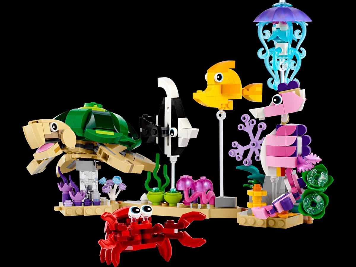 Sea Animals