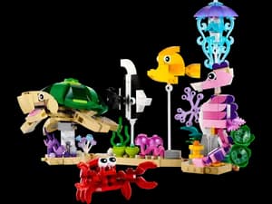 Sea Animals