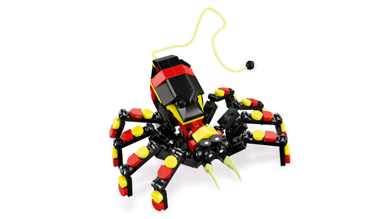 Wild Animals: Surprising Spider
