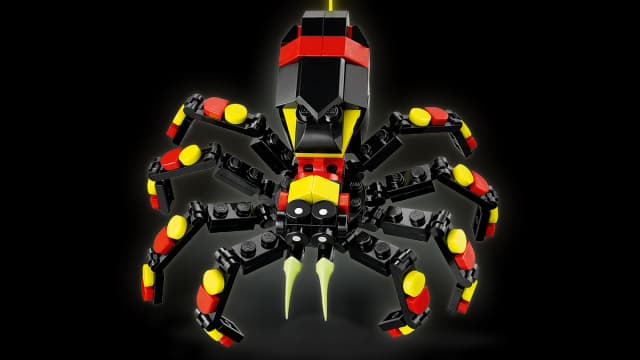 Wild Animals: Surprising Spider - Image 12