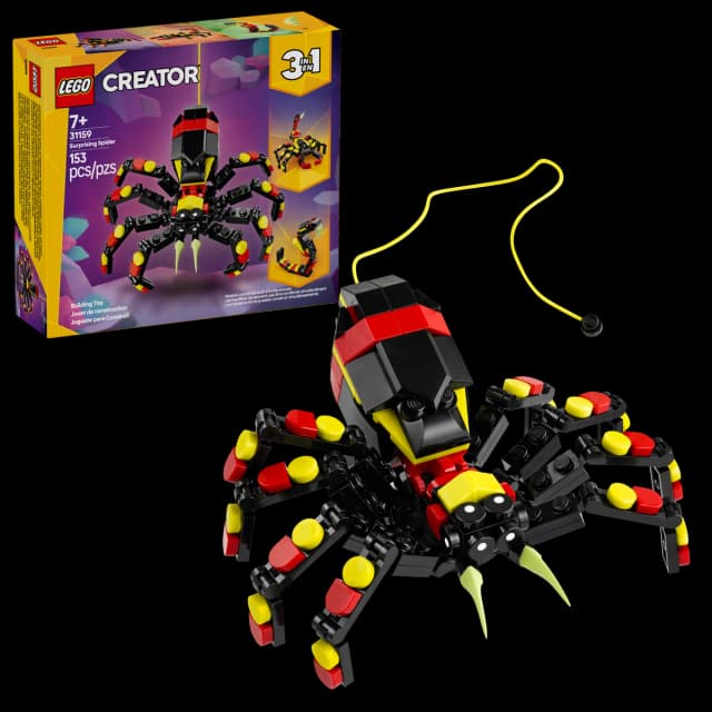 Wild Animals: Surprising Spider - Image 3