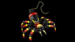 Wild Animals: Surprising Spider