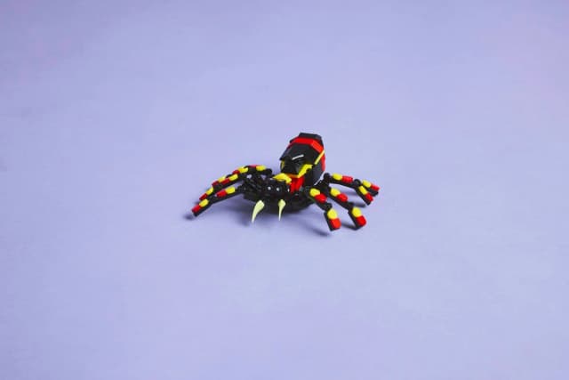 Wild Animals: Surprising Spider - Image 11