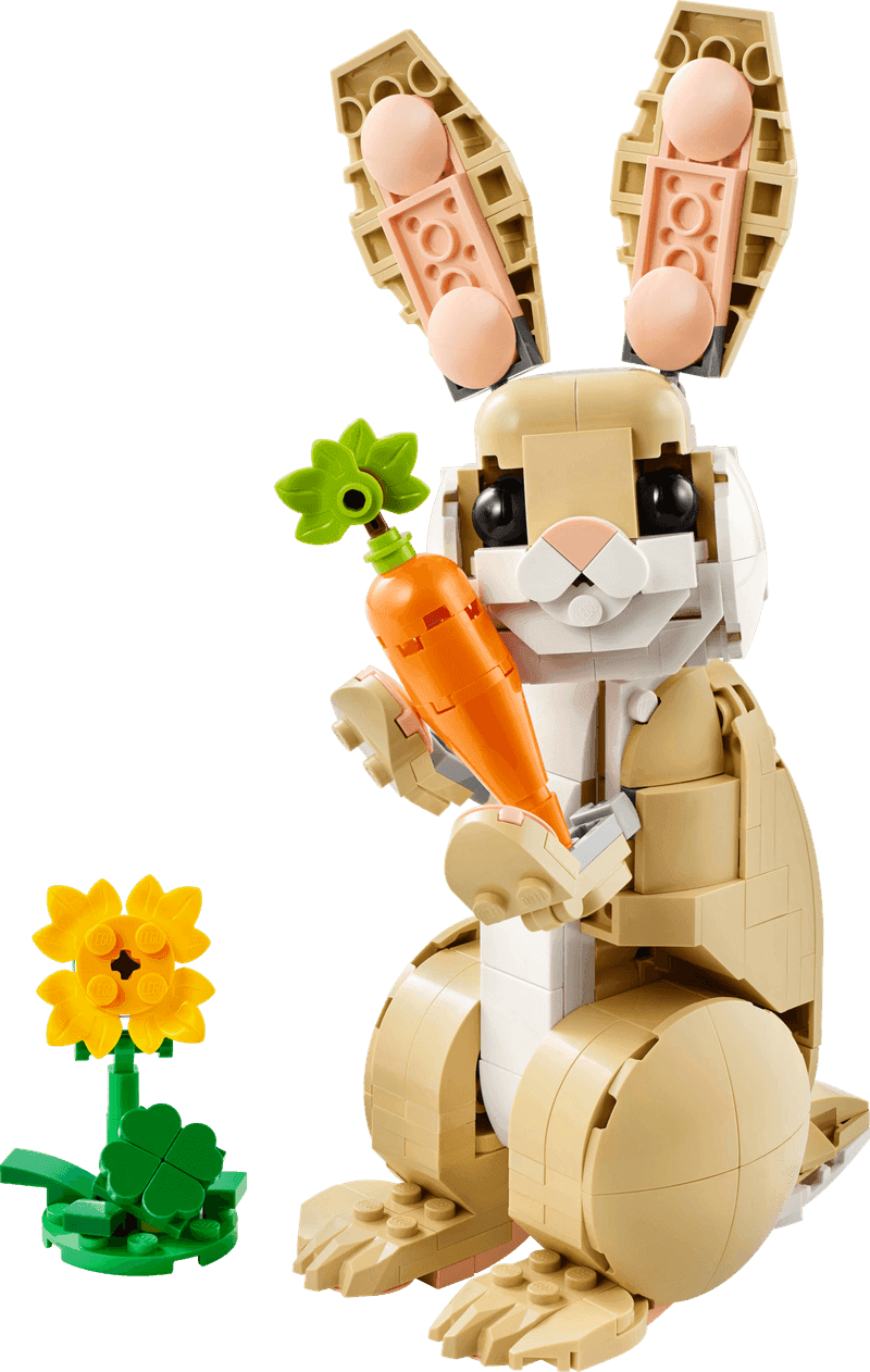Cute Bunny