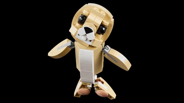 Cute Bunny - Image 8