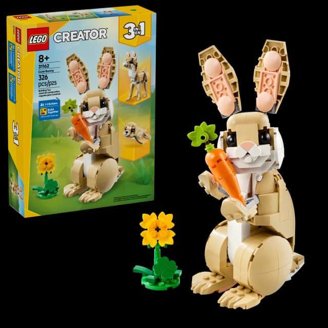 Cute Bunny - Image 4