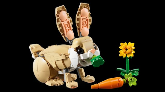 Cute Bunny - Image 13
