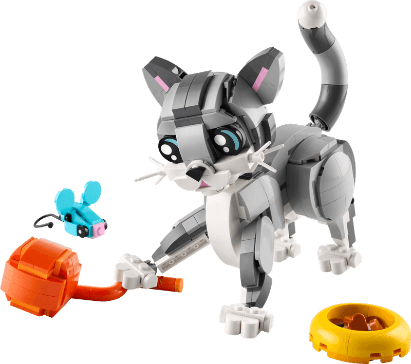 Playful Cat