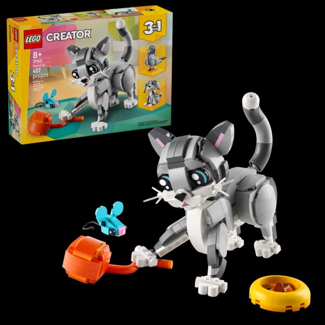 Playful Cat - Image 3