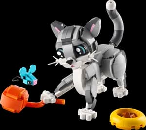 Playful Cat