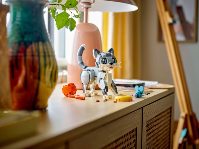 Playful Cat - Image 9