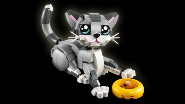 Playful Cat - Image 6